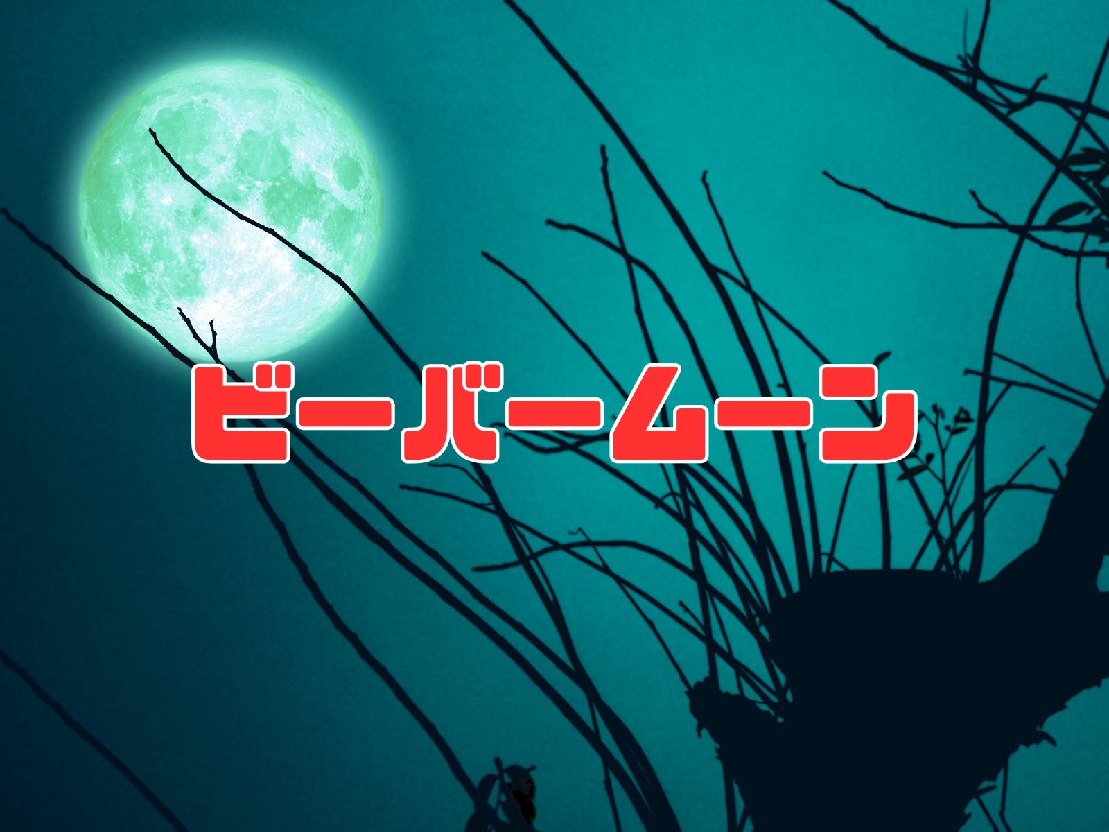 Beaver Moon (ビーバームーン - Beaver Moon: The November full moon, Native American etymology, and seasonal preparations for winter)