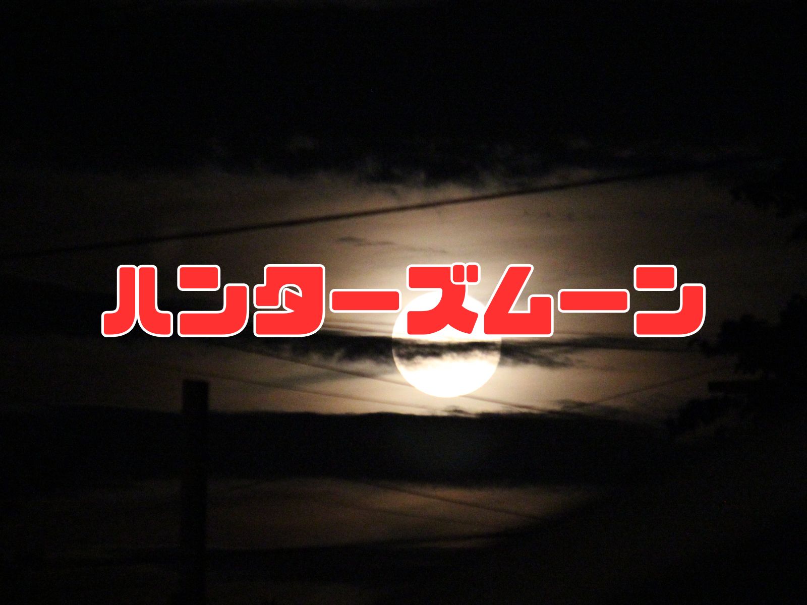Hunter's Moon (ハンターズムーン - Hunter's Moon: The October full moon, etymological hunter origins, spiritual meanings, and calendar)