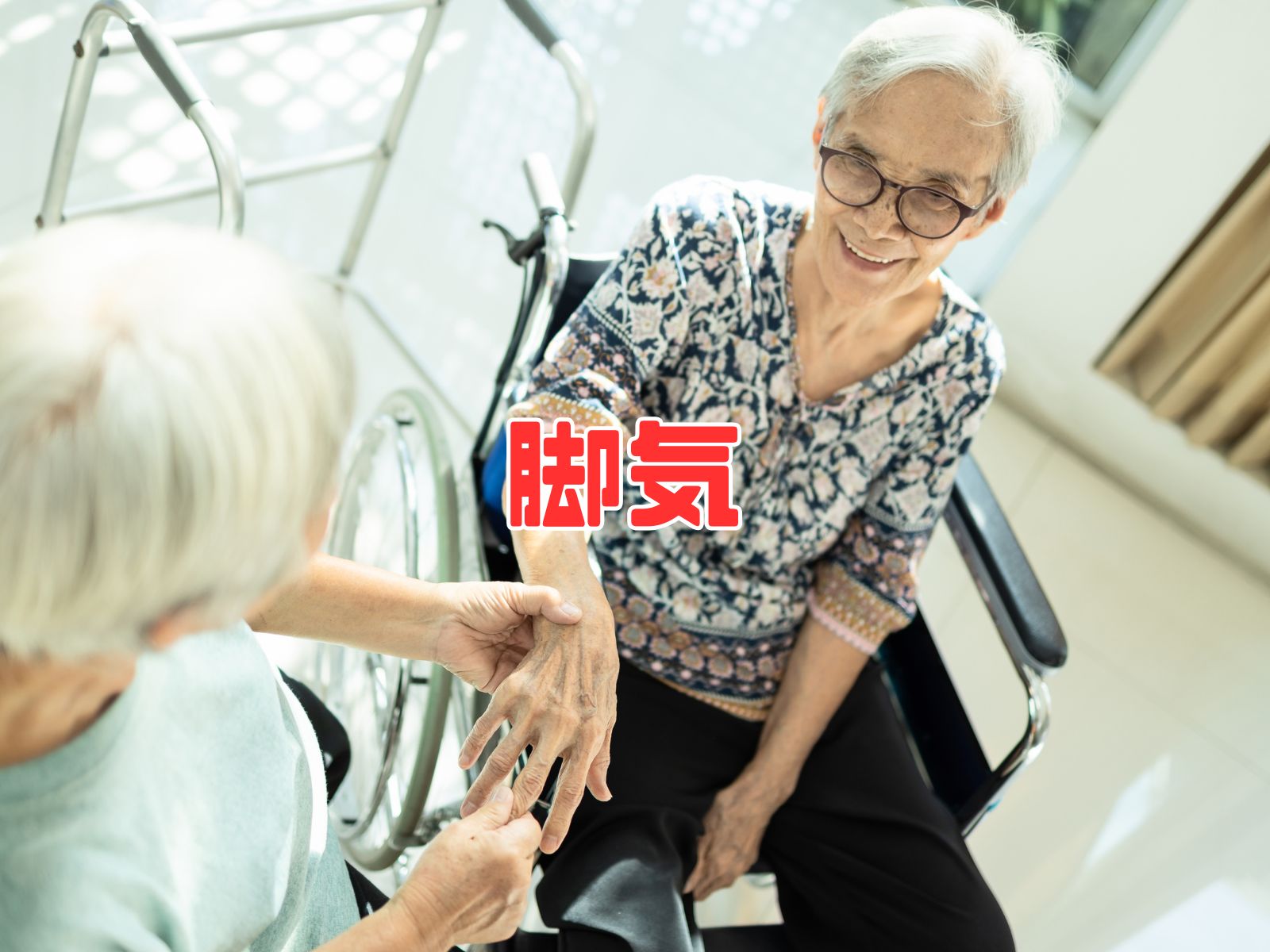 Beriberi (脚気 - Beriberi: Thiamine (Vitamin B1) Deficiency, Medical Pathology, and the Historical Legacy of 'Edo Sickness')
